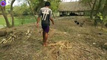 The method of fishing trap with thick tree roots.গাছের মোটা শিকড় দিয়ে মাছ ধরার কায়দা দেখুন ।