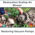 Restoration Scallop Air Blower - Restoring Vacuum Pumps