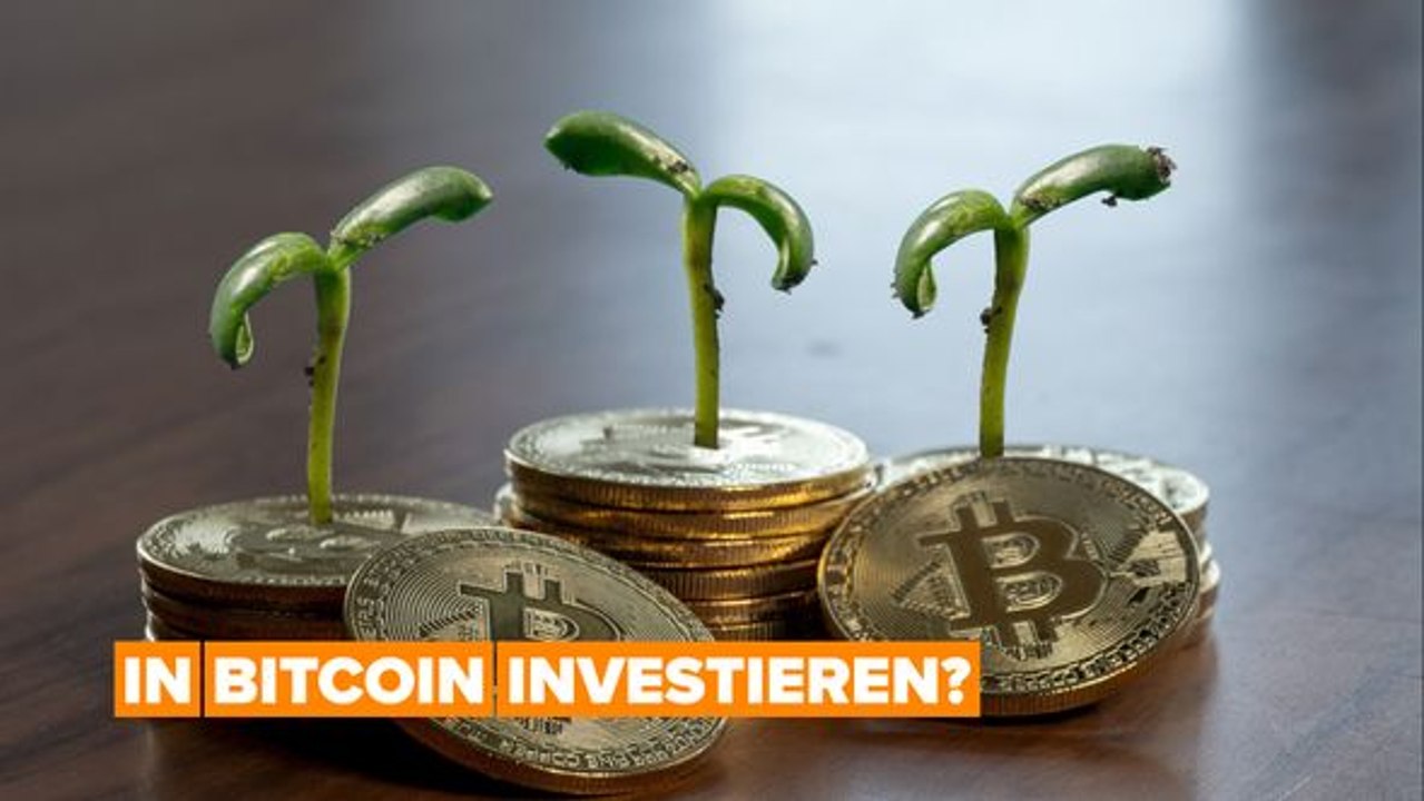 Solltest du in bitcoin investieren?