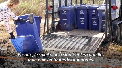 Sur les côtes du Texas, les coquilles d'huîtres recyclées en récifs