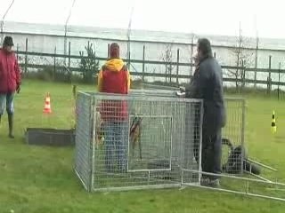 Evita Briard Club 08 décembre 2007 P1