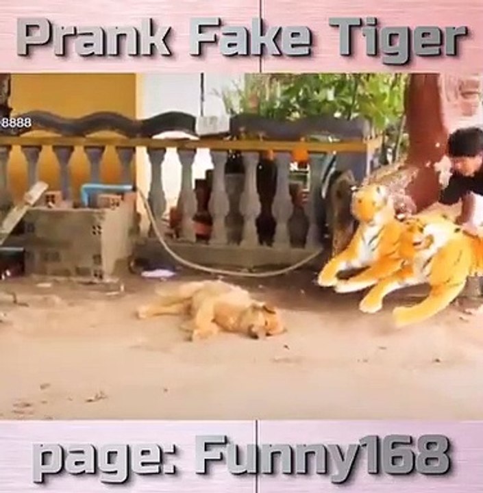 Prank fake tiger