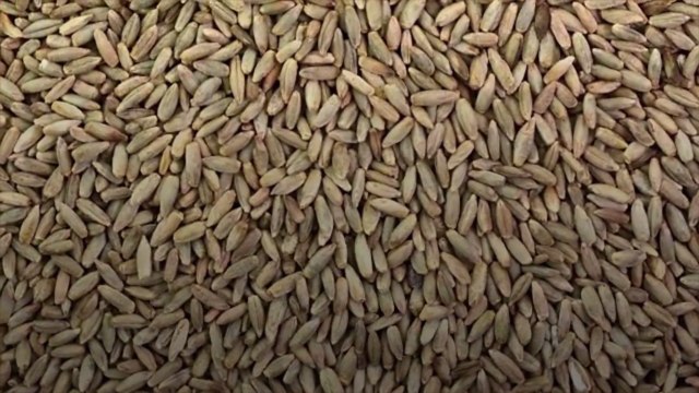 7 Grains That Are Just as Easy to Prepare as Rice