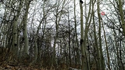 Bitlis'te 250 kilo amonyum nitrat ile yaşam malzemesi ele geçirildi