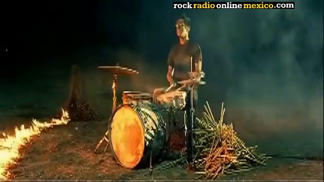 Yeah Yeah Yeahs - Gold Lion