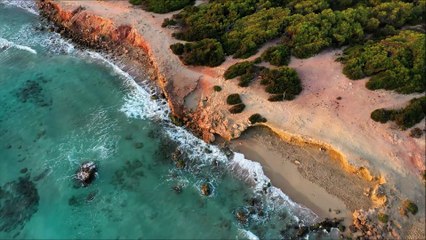 Beaches l Nature l Free Background Music