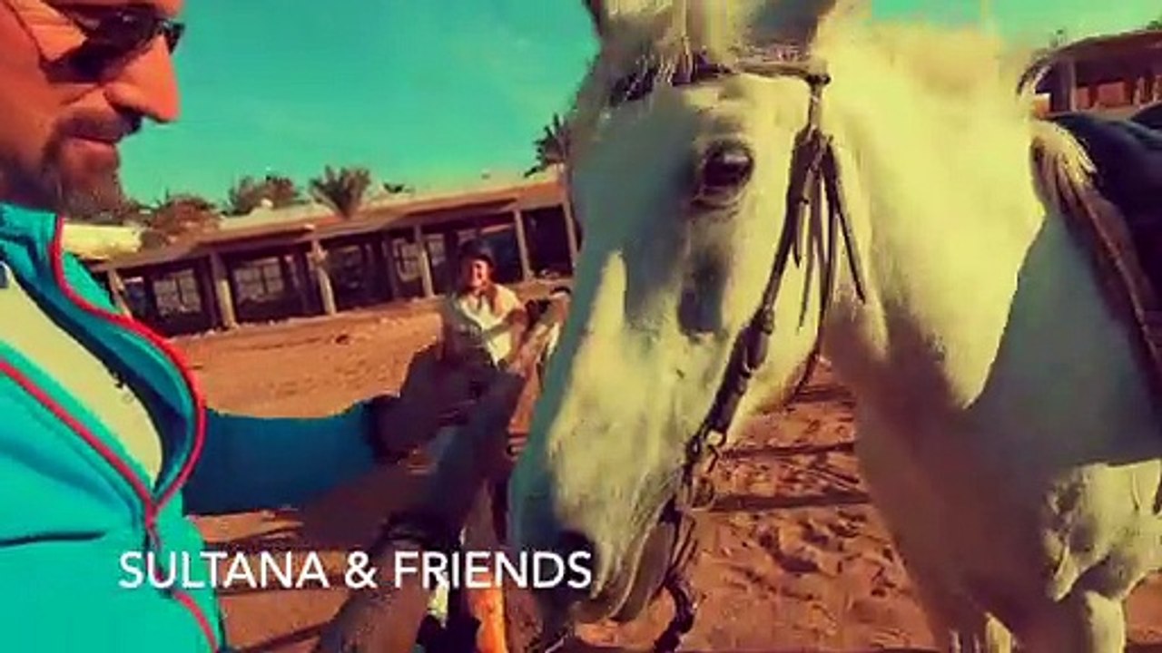 Reiten Hurghada 23 12 2020