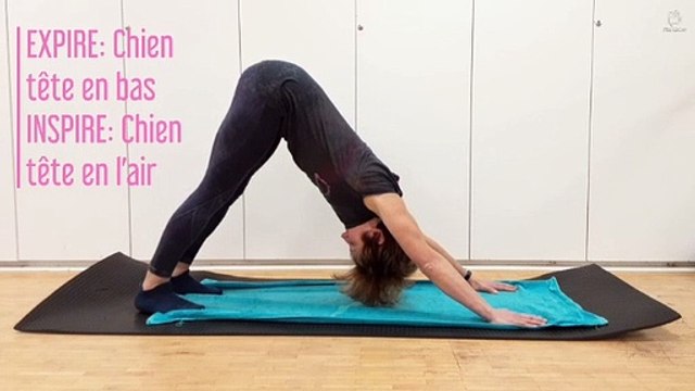 Hatha Yoga - Postures du chat, du chien et sur la tête