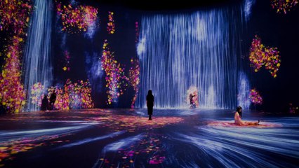 A Truly Wild Immersive Art Experience Is Opening in Miami This Year