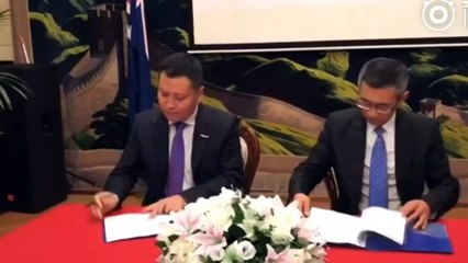 Chinese businessman with Govt links facing deportation