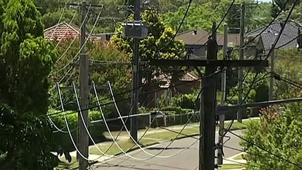 Calls for major reform of electricity network