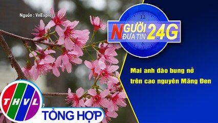 Người đưa tin 24G (6g30 ngày 5/1/2020) - Mai anh đào bung nở trên cao nguyên Măng Đen