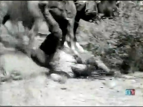 CASEY JONES - PRISON TRAIN - Episode Seven