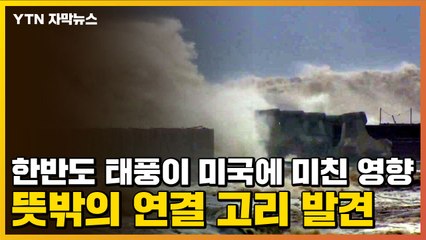 [자막뉴스] 한반도 태풍이 미국에 미친 영향...뜻밖의 연결 고리 발견 / YTN