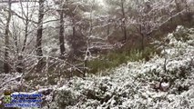 L'ermitage St Jean du Puy sous la neige 4janv2021 TRETS 2