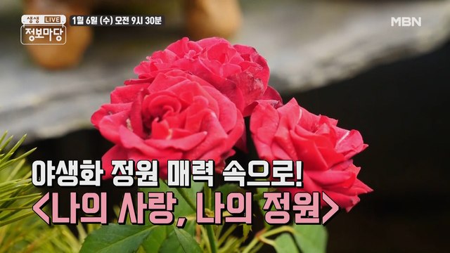 생생 정보마당 [793회] - 실속 있는 수요일