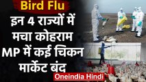 Bird Flu: Madhya Pradesh में चिकन शॉप बंद, इन चार राज्यों में वायरस का कोहराम | वनइंडिया हिंदी