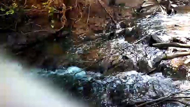 nice video feel water water