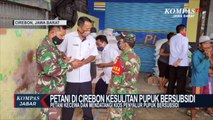 Petani di Cirebon Kesulitan Pupuk Bersubsidi