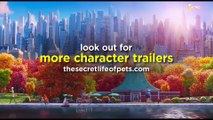 THE SECRET LIFE OF PETS 2 - 11 Minutes Trailers (2019)