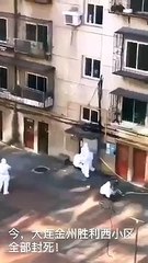 Çin'de salgın yeniden başladı!