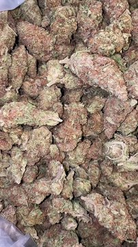 Kaufen Sie medizinisches Marihuana online billig