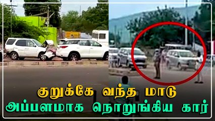 CM காருக்கு பின்னால் வேகமாக சென்ற கார்கள்...குறுக்கே வந்த மாடு | Oneindia Tamil