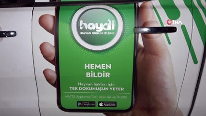 Elif Naz’ın dikkati mahsur kalan kediyi kurtardı