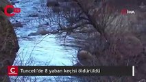 Tunceli'de 8 yaban keçisi öldürüldü