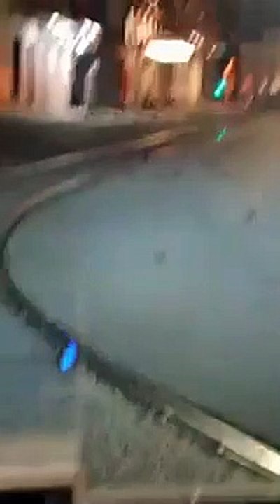 Oiseaux morts à cause des feux d’artifice du Nouvel An (Rome)