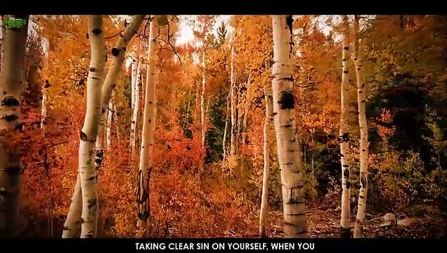 Halal Way Of Approaching A Girl You Like