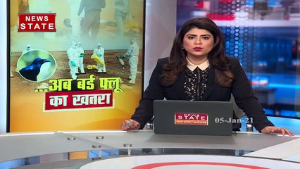 Madhya Pradesh: कोरोना खत्म नहीं, अब बर्ड फ्लू आ गया, देखेें रिपोर्ट