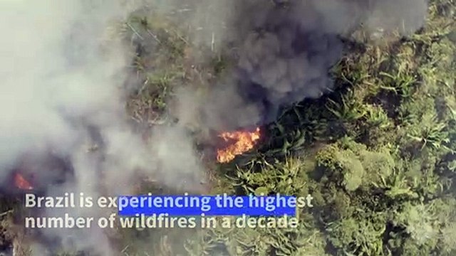 Brazil: forest fires at highest level in a decade