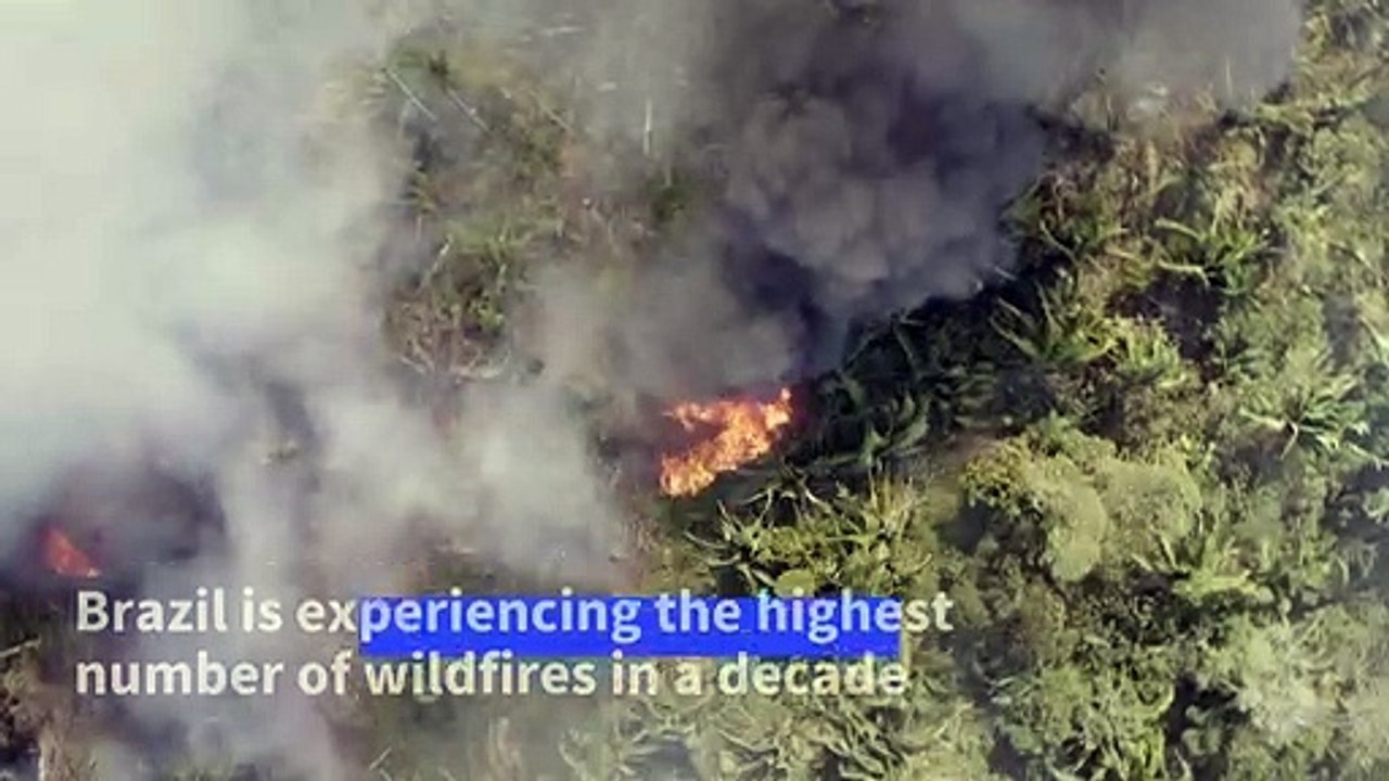 Brazil: forest fires at highest level in a decade