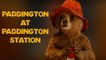 Paddington | Paddington Train Station Bear | Amazing Adventures