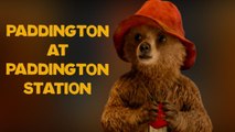 Paddington | Paddington Train Station Bear | Amazing Adventures