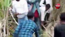 सहारनपुर में ग्रामीणों ने गुलदार के बच्चे को पीट-पीटकर मार डाला