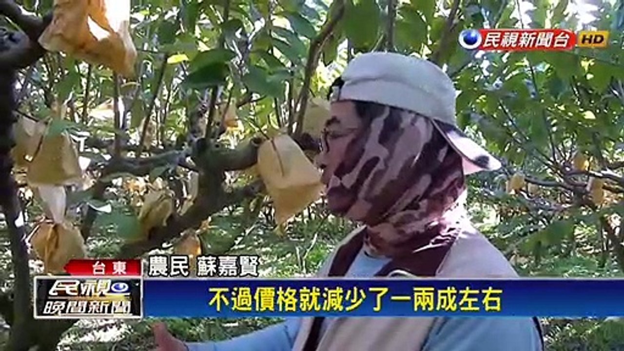外銷用貨櫃卡中國港 釋迦銷不出去價格下跌
