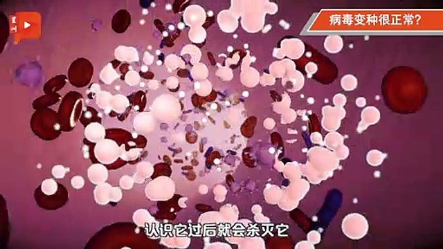 冠病COVID19 变种病毒与疫苗关键四问题