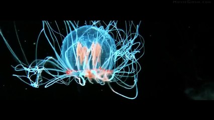 CHIMERA STRAIN Official Trailer # 2 (2019) Creepy Thriller, New Movie Trailers HD