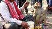 Mela entertainer - Monkey I Bandar ka khel