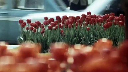 Солнечный круг 3 серия (2021)