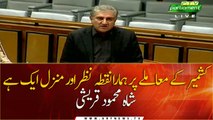 Shah Mehmood Qureshi Speech in Senate Session |5 Jan-2021 |ARY News