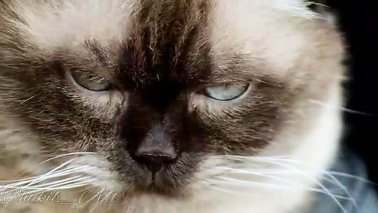 #rap#hiphop #music #rapper #trap #beats #rapmusic #Artist #love #producer #newmusic #hiphopmusic #freestyle #rappers #soundcloud #art #explorepage #spotify #follow #Youtube #dj #like #trapmusic #rnb #hiphop #bhfyp #beat #musicproducer #musician #bhfyp