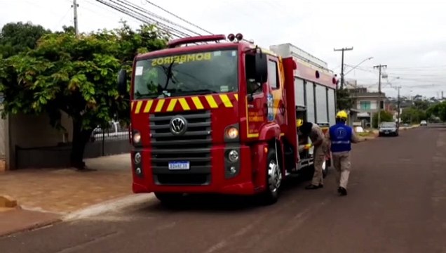 Bombeiros realizam corte de árvore no Bairro Santa Cruz