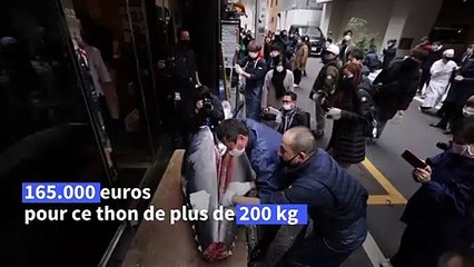 Japon : un thon de plus de 200 kg vendu 165.000 euros aux enchères du Nouvel an