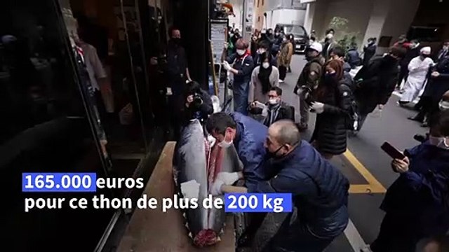 Japon : un thon de plus de 200 kg vendu 165.000 euros aux enchères du Nouvel an