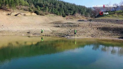 Suların azalmasıyla ortaya çıkan tehlike: Sivrisinekler