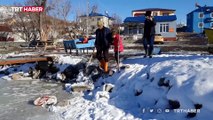 Çıldır Gölü buz tuttu, Eskimo usulü avcılık başladı