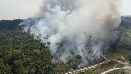 Brazilian wildfires increased in 2020